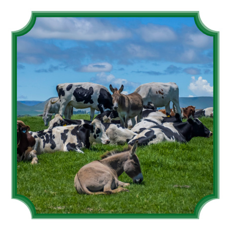 4.-AGROPECUARIA-e1759436648357.png